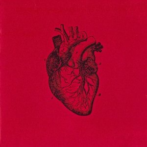 A Loud Heart 的头像