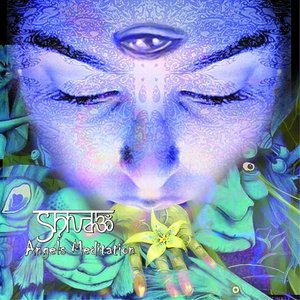 Avatar for Shiva3 Project