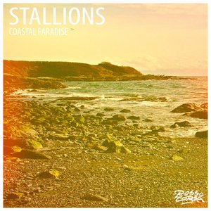 Stallions 的头像