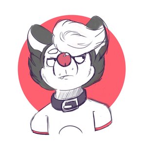 ASTRO☆PUP 的头像