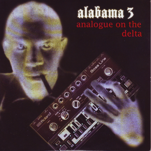 Analogue on the Delta cover