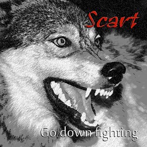 Go Down Fighting
