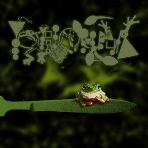 Amphibians Performing Surgery III: Murrexic Behaviour