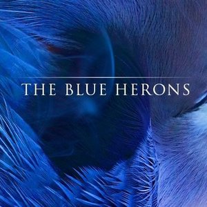 Avatar for the blue herons