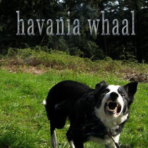 Havania Whaal