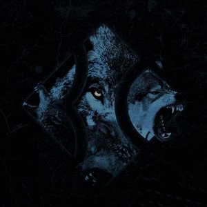 Wolfpack - Single