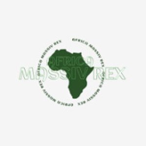“AFRICA MASSIV REX 2015”的封面