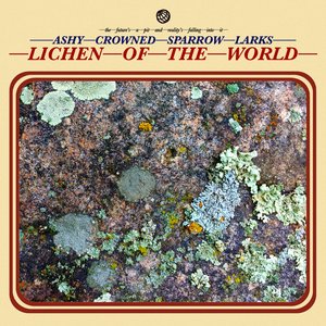 Lichen of the World