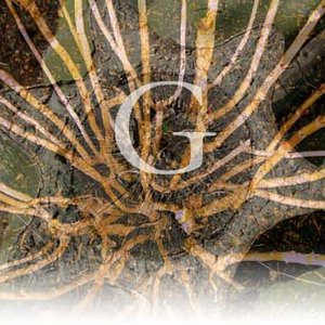 “Godheadscope”的封面