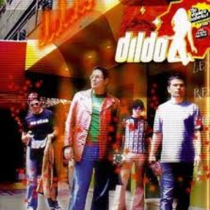 Dildo cover
