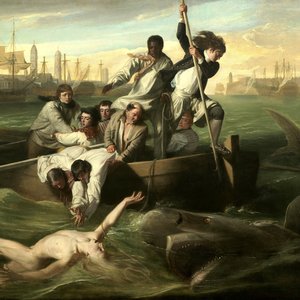 Sea Shanties & Mariner Tales
