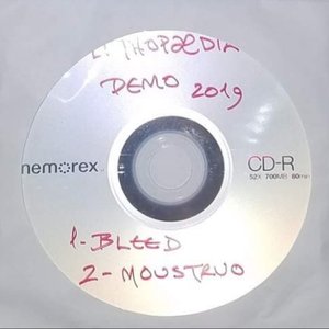 Demo 2019