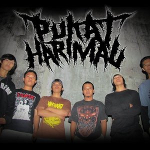 Pukat Harimau 的头像