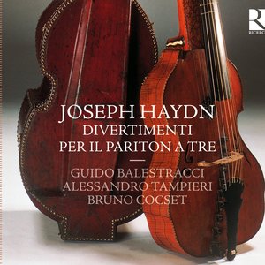 “Haydn: Divertimenti per il pariton a tre”的封面