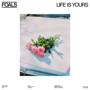 Foals - 2001 Lyrics - Zortam Music