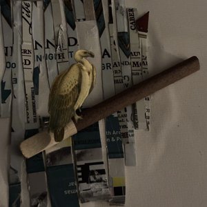 Goodnight Grandma - Single