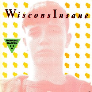 WisconsInsane