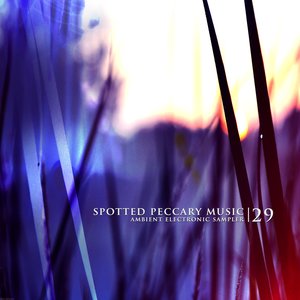 29 - free ambient electronic sampler
