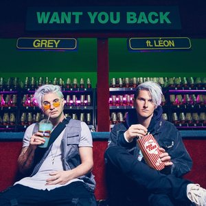 Want You Back - Single