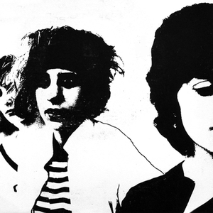 Dangerous Birds photo provided by Last.fm