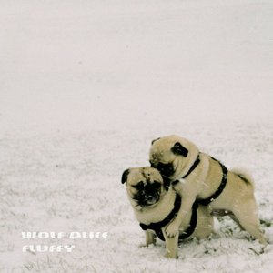 Fluffy - Single