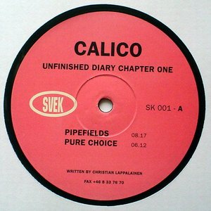Unfinished Diary Chapter One