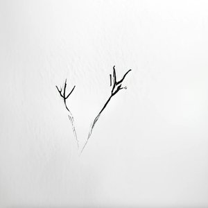 A Beginning