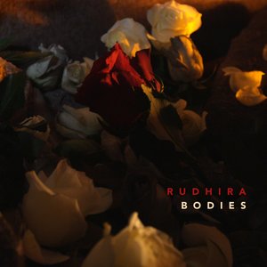 Bodies