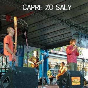 Image for 'Capre Zo Saly'
