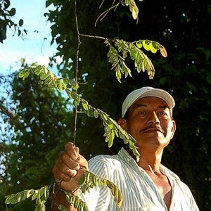 Avatar för Don Pedro Guerra Gonzales