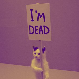 Dead Cat için avatar