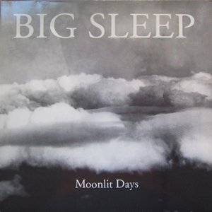 Moonlit Days