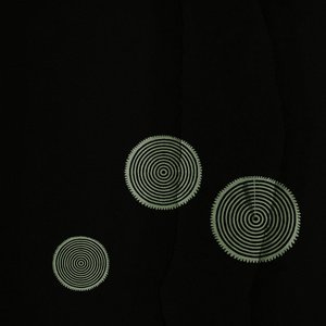 Polilectics