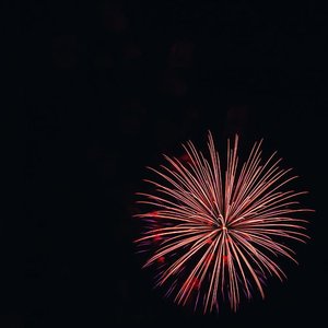 Firework