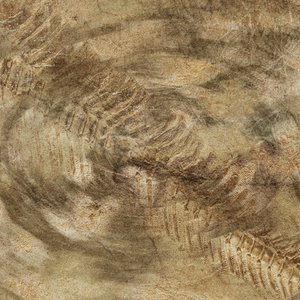 Rhizome Of The Lost Steps