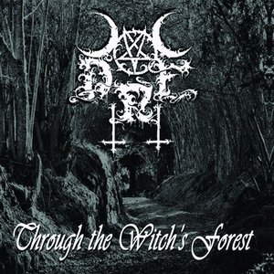 Through The Witch's Forest