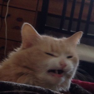PWNS 的头像