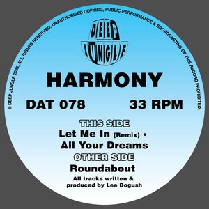 Roundabout / Let Me In Remix / All Your Dreams