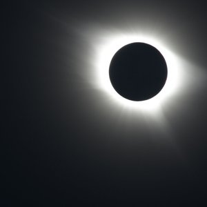 staring at the sun