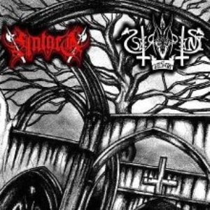 Fall Of The Holy Sick