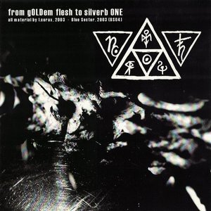 “from gOLDem flesh to silverb ONE”的封面