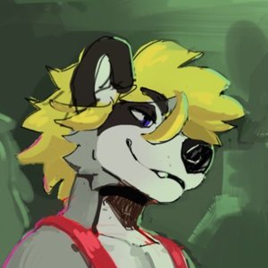 Avatar for alottadogs