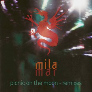 Picnic On The Moon + Remixes