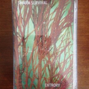 Entropy