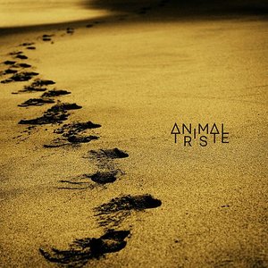 All About - Single