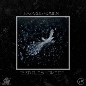 Bird Flies Home EP