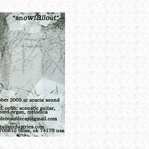 Snowfallout