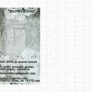 Snowfallout cover