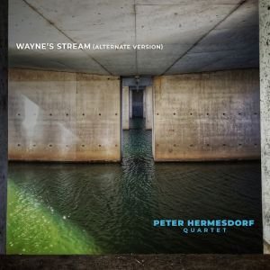 Wayne's Stream (Alternate Version)