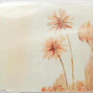 言葉は時に胸を刺す